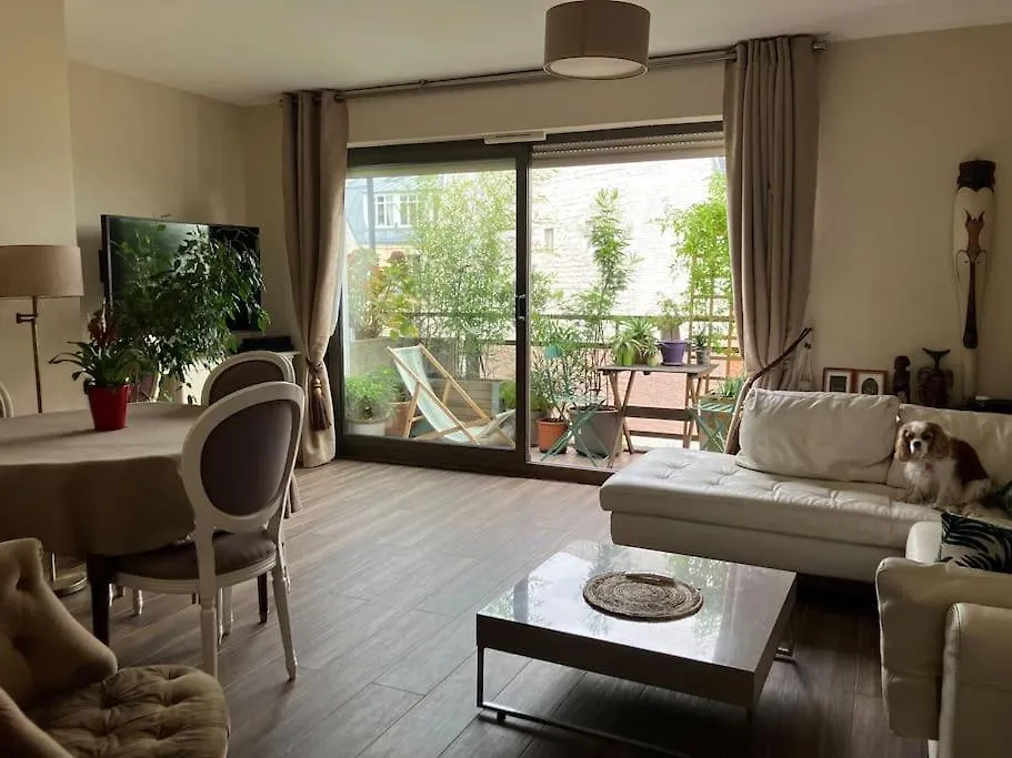 Apartment Eiffel Tower View - Balcony - Trocadero Paris